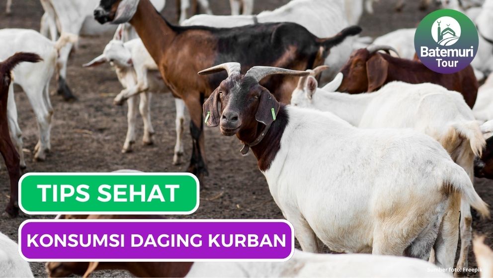 Tetap Sehat Konsumsi Daging Kurban Dengan 8 Tips Ini